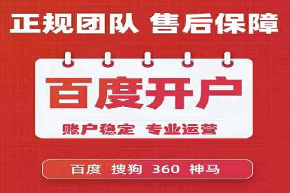 SEM托管服务成功案例：让广告投放更精准、更高效